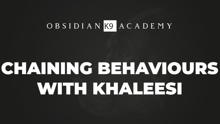 Chaining Behaviours With Khaleesi