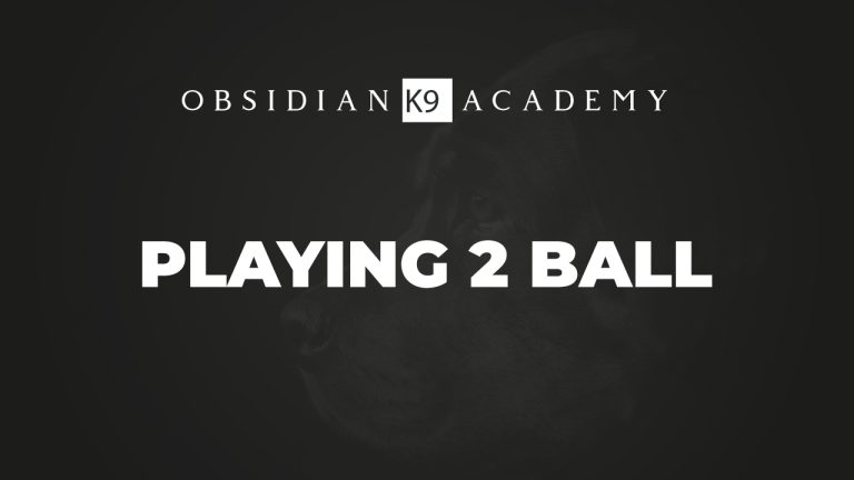 Playing Two Ball