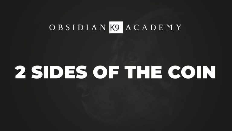 2 Sides Of The Coin