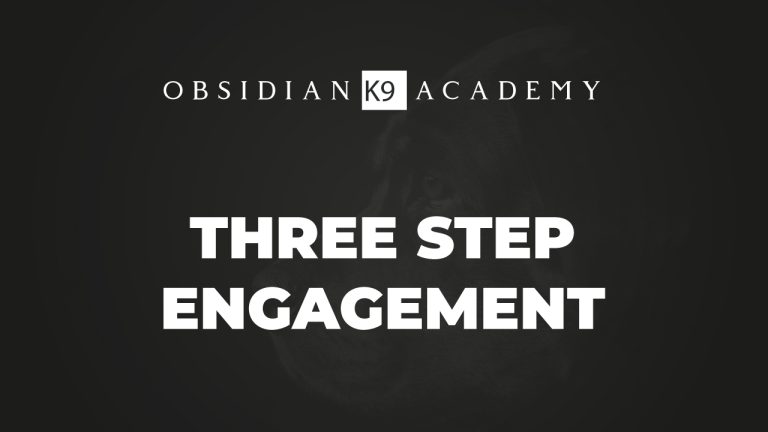 3 Steps To Engagement..
