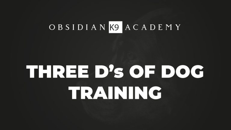 Three D’s Of Dog Training