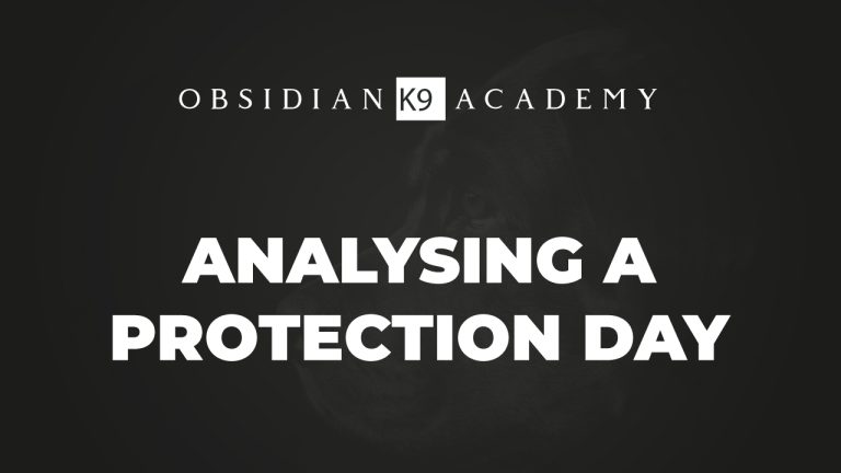 Analysing a Protection Day
