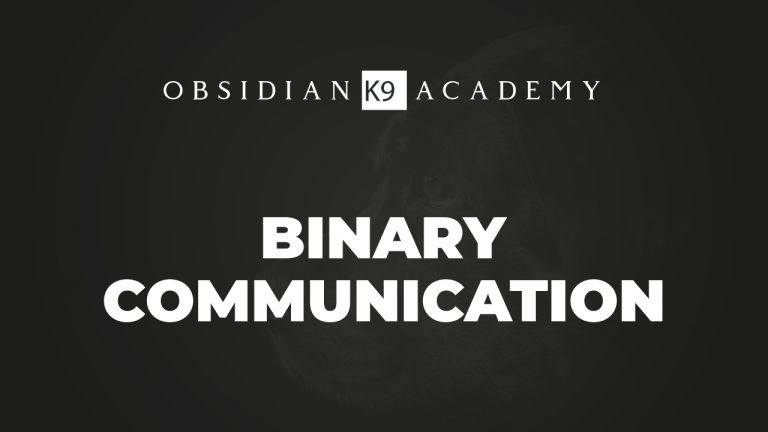 Binary Communication