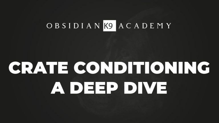 Crate Conditioning A Deep Dive.