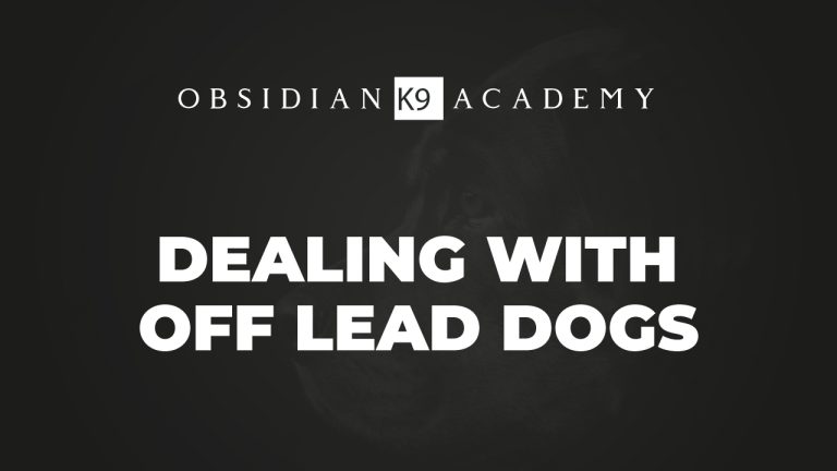 Dealing With Off Leash Dogs