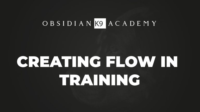 Creating Flow In Training