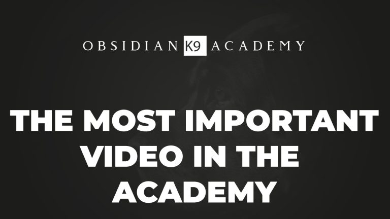 The Most Important Academy Video!?