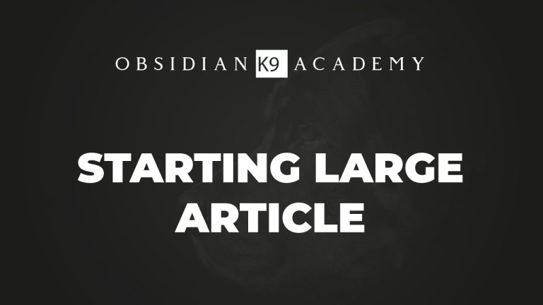 Starting Large Article