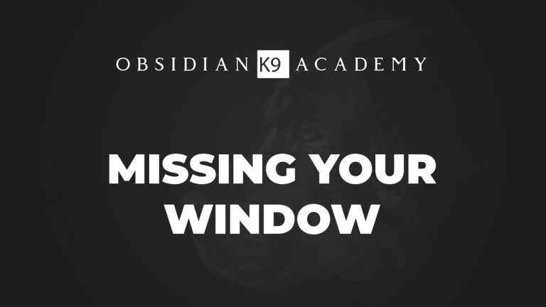 Missing Your Window