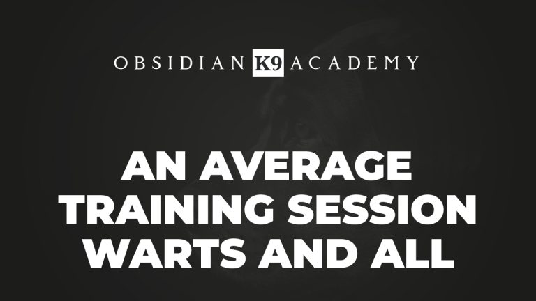 An Average Training Session – Warts And All