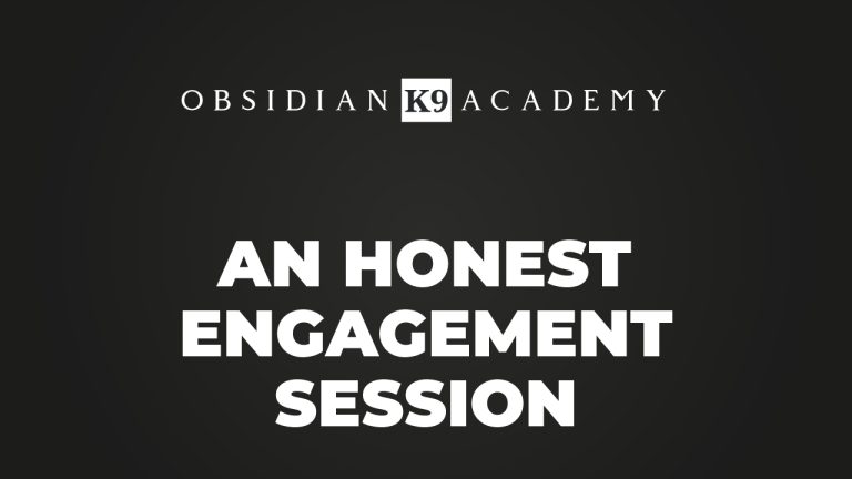 An Honest Engagement Session