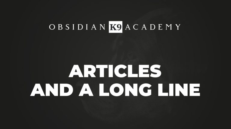 Articles And A Long Line