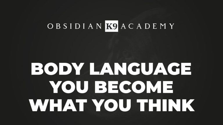 Body Language – You Become What You Think