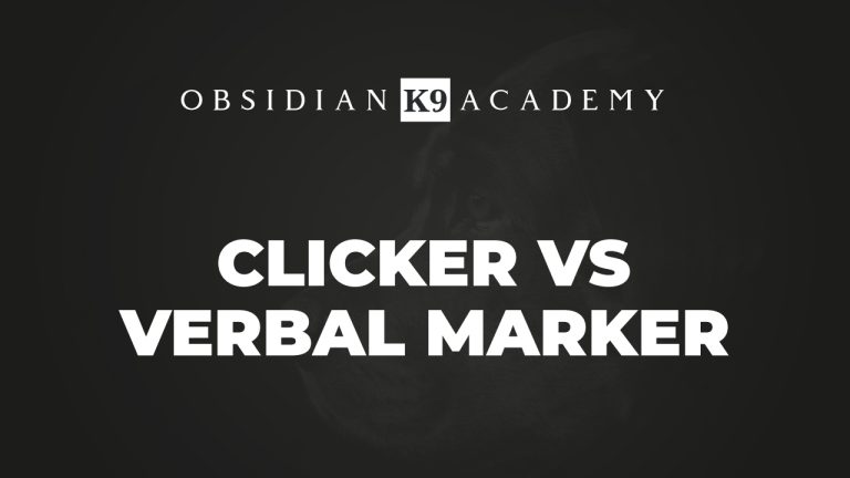 Clicker Vs Verbal Marker