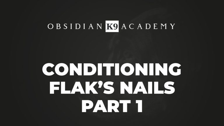 Conditioning Flaks Nails – Part 1