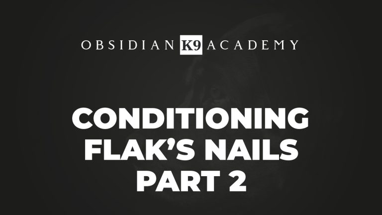 Conditioning Flaks Nails – Part 2