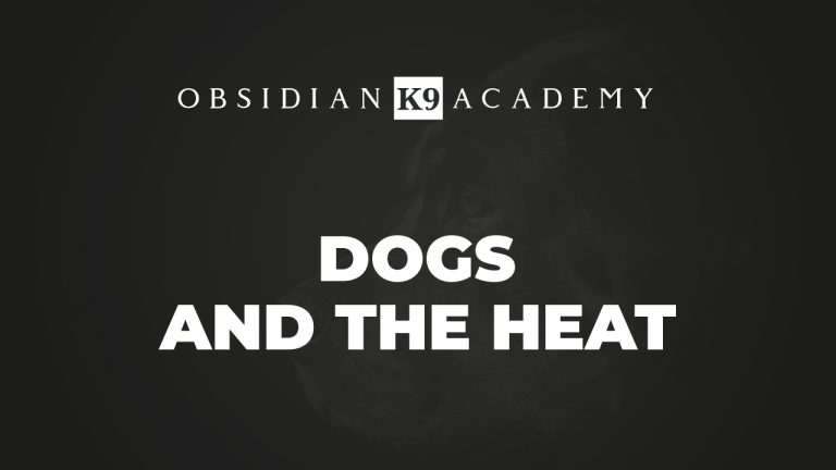 Dogs And The Heat