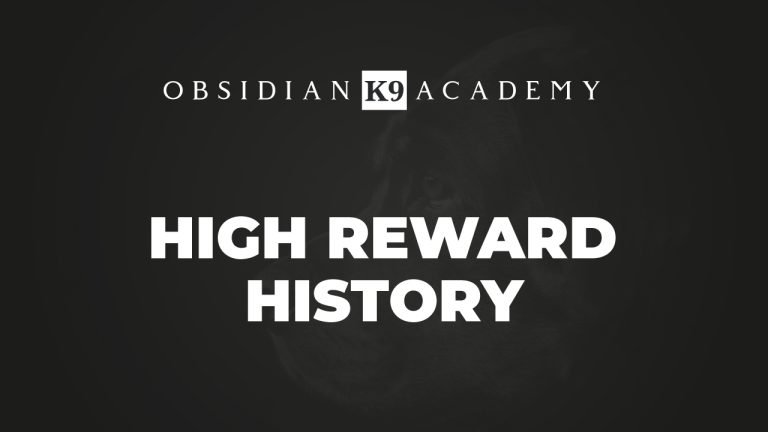 High Reward History