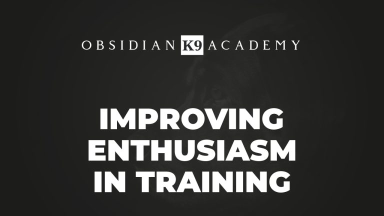 Improving Enthusiasm In Training