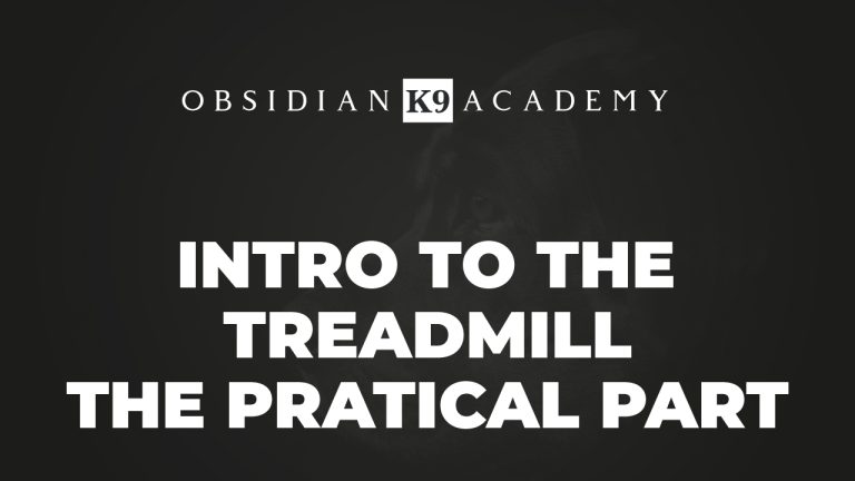 Intro To The Treadmill – The Practical Part