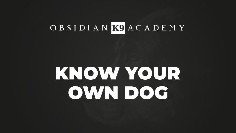 Know Your Own Dog