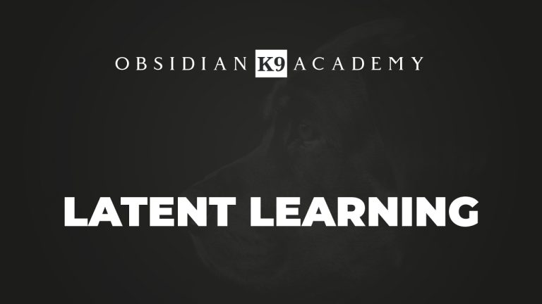 Latent Learning