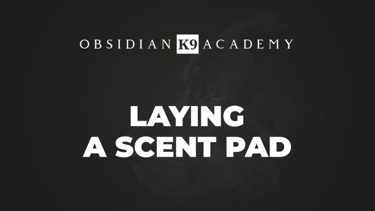 Laying A Scent Pad