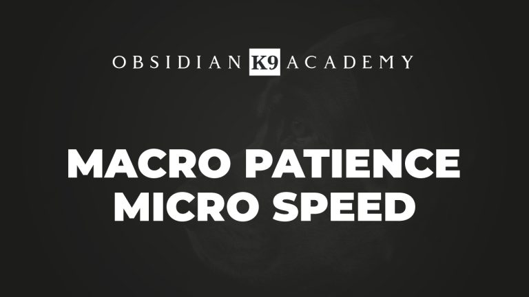 Macro Patience Micro Speed