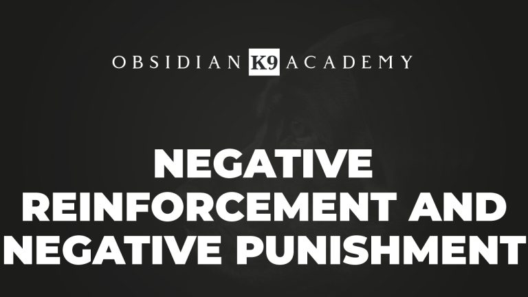 Negative Reinforcement And Negative Punishment