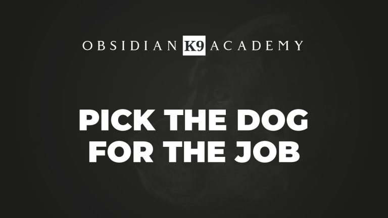 Pick The Dog For The Job