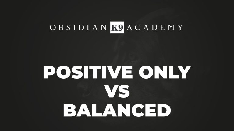 Positive Only Vs Balanced Training