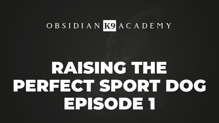 Raising The Perfect Sport Dog – Episode 1