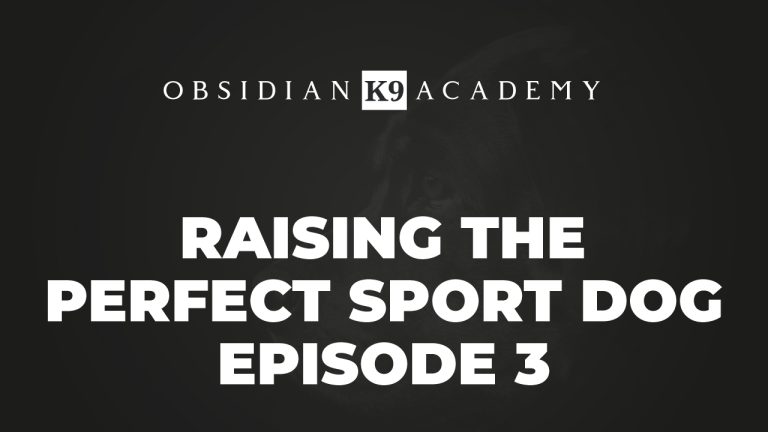 Raising The Perfect Sport Dog – Episode 3