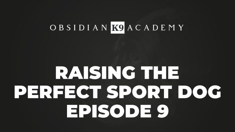 Raising The Perfect Sport Dog – Episode 9