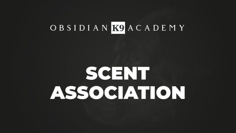 Scent Association