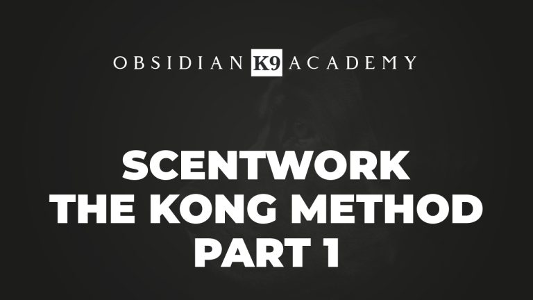 Scentwork – The Kong Method – Part 1