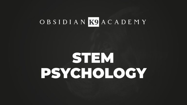 Stem Psychology