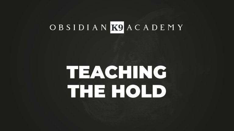 Teaching The Hold