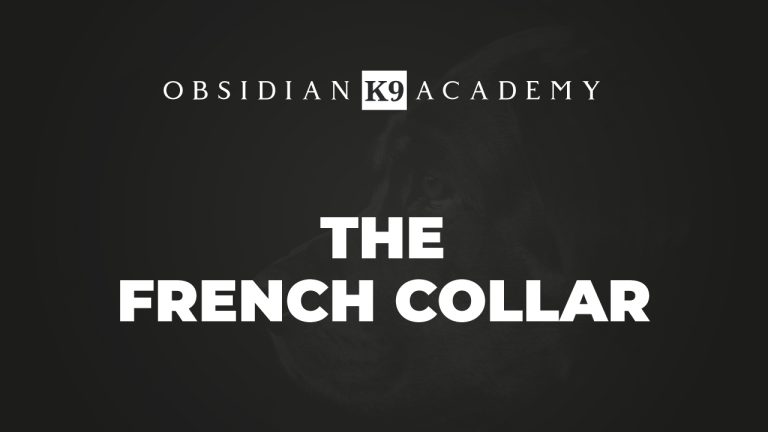 The French Collar