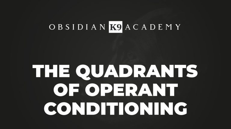 The Quadrants Of Operant Conditioning