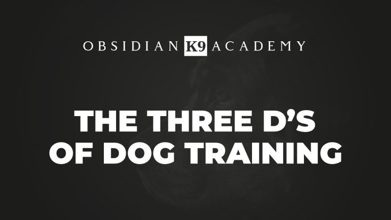 The 3 D’s Of Dog Training