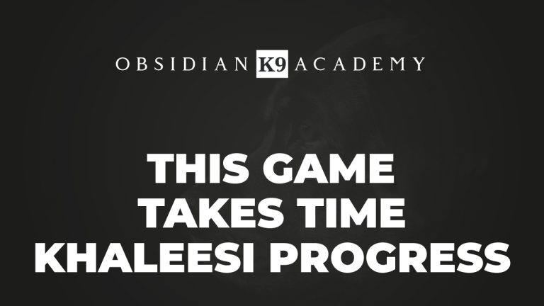 This Game Takes Time – Khaleesi Progress