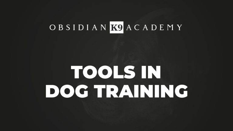 Tools In Dog Training