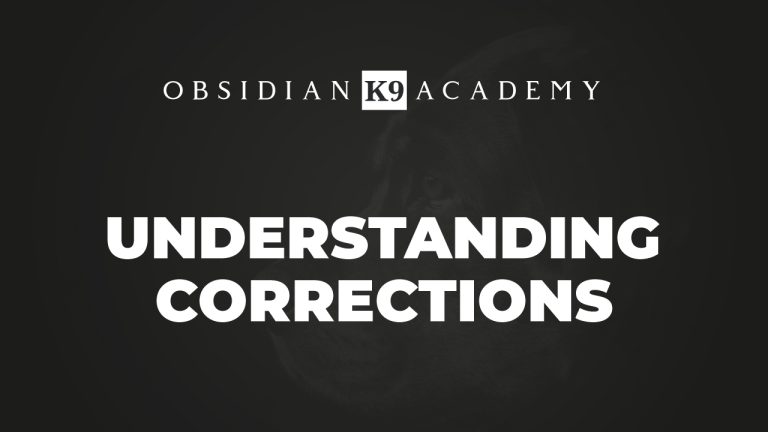 Understanding Corrections