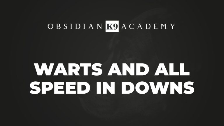 Warts And All – Speed In Downs