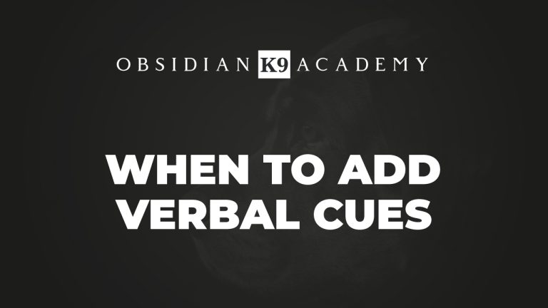 When To Add Verbal Cues