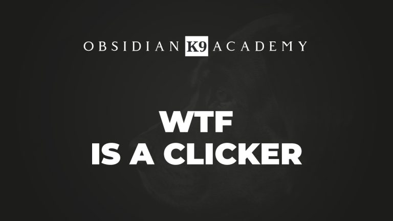 WTF Is A Clicker