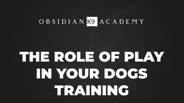 The Role Of Play In Your Dogs Training (Theory)