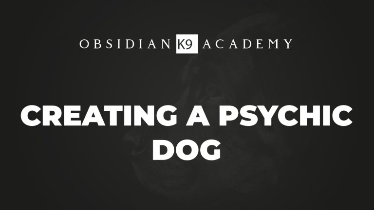 Creating A Psychic Dog.