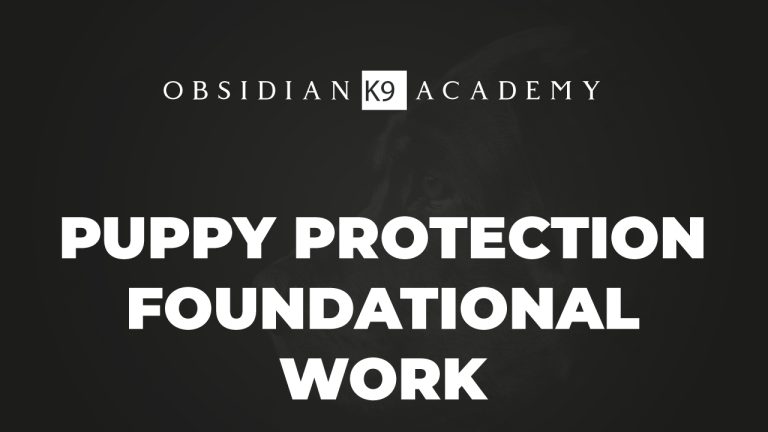 Puppy Protection Foundational Work